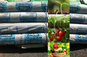 Тепличная плёнка Vatan Plastik (Турция). Качественная пленка для теплиц
